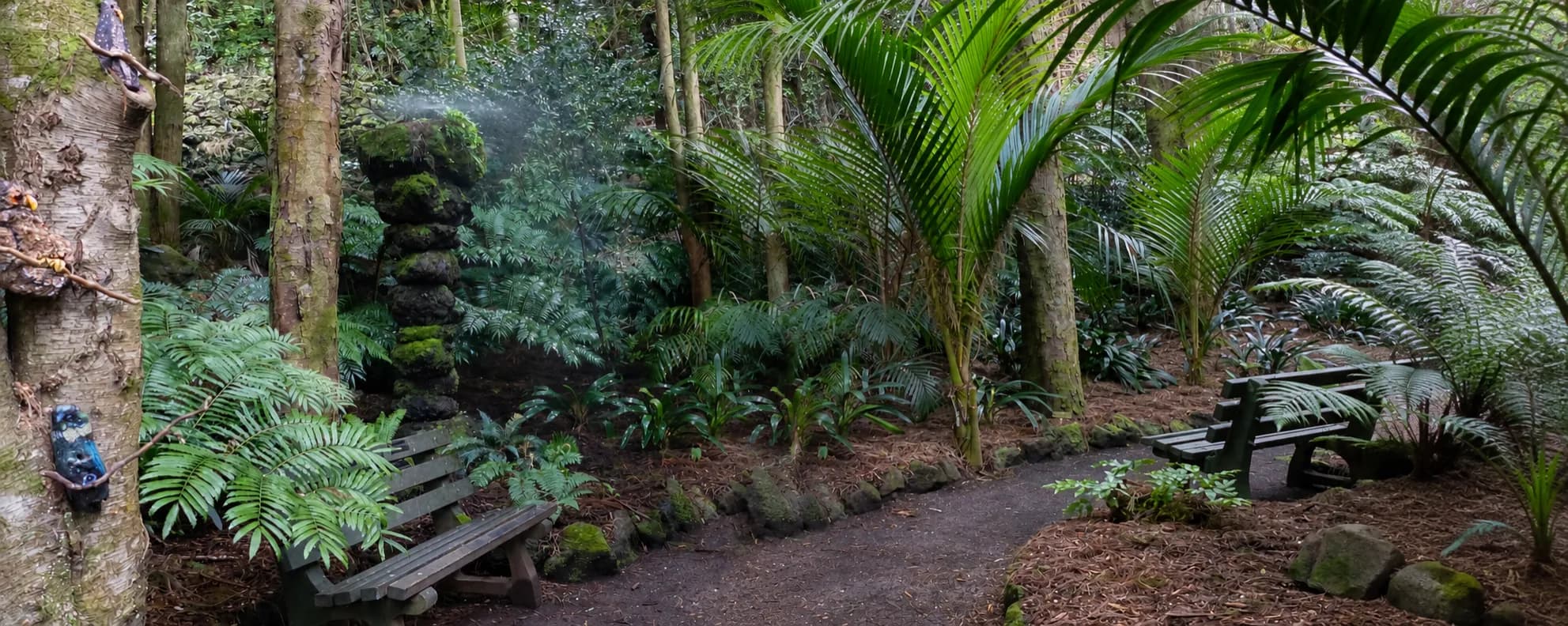 Inside Eden Garden: Exploring Auckland’s Forest Garden Wonderland