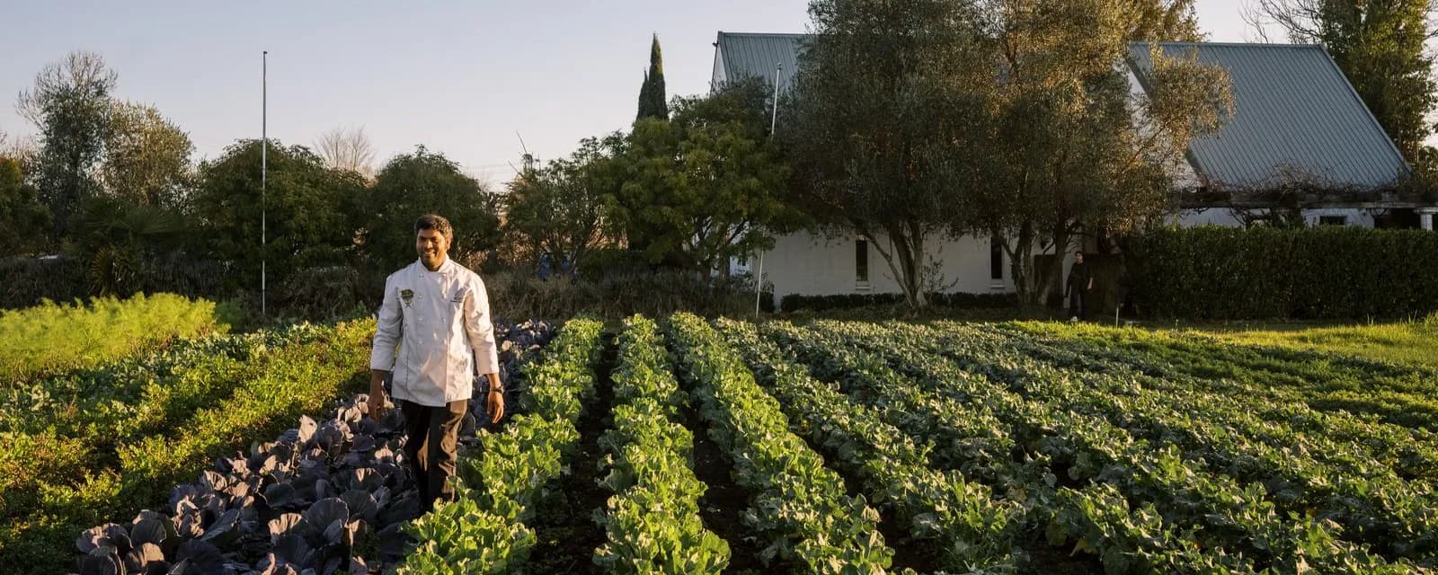 Learning Lunch: From Soil to Plate: A Vegetable Garden Tour and Seasonal Lunch with Francky Godinho