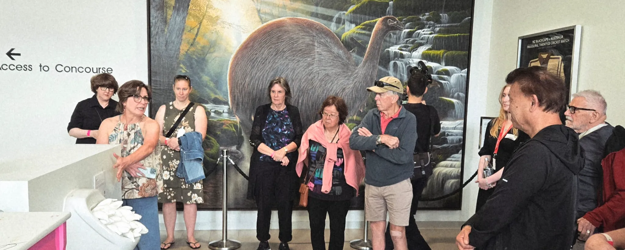 Eden Park Art Tour: Discover the Stadium Through Art